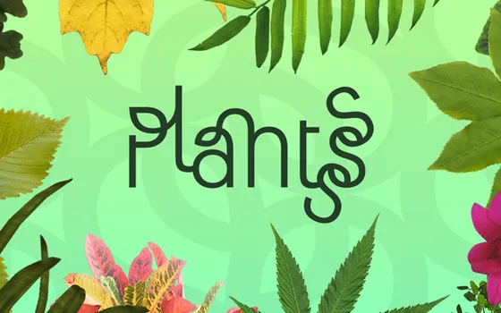 Plantsss project screenshot